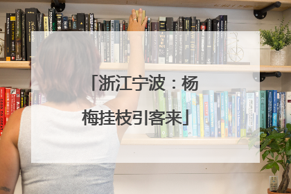 浙江宁波：杨梅挂枝引客来