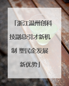 浙江温州创科技副总引才新机制 塑民企发展新优势