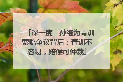 深一度｜孙继海青训索赔争议背后：青训不容易，赔偿可仲裁