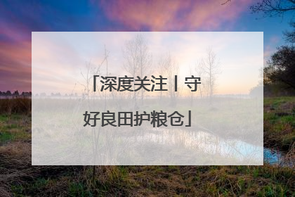 深度关注丨守好良田护粮仓