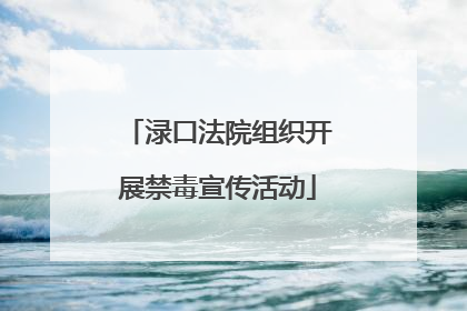 渌口法院组织开展禁毒宣传活动