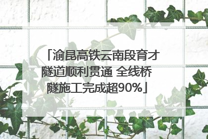 渝昆高铁云南段育才隧道顺利贯通 全线桥隧施工完成超90%