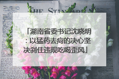 湖南省委书记沈晓明：以猛药去疴的决心坚决刹住违规吃喝歪风