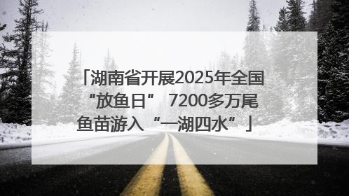 湖南省开展2025年全国“放鱼日” 7200多万尾鱼苗游入“一湖四水”