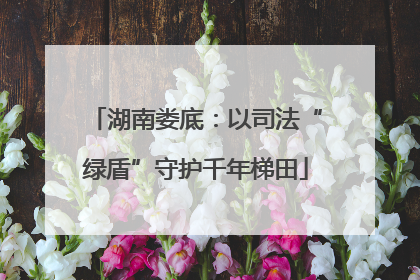 湖南娄底：以司法“绿盾”守护千年梯田