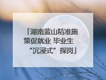 湖南蓝山精准施策促就业 毕业生“沉浸式”探岗