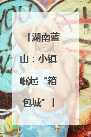 湖南蓝山：小镇崛起“箱包城”