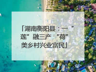 湖南衡阳县：一“莲”融三产 “荷”美乡村兴业富民