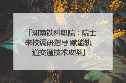 湖南铁科职院：院士来校调研指导 赋能轨道交通技术攻坚