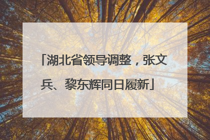 湖北省领导调整，张文兵、黎东辉同日履新