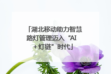 湖北移动助力智慧路灯管理迈入“AI＋灯链”时代