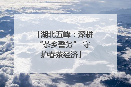 湖北五峰：深耕“茶乡警务” 守护春茶经济