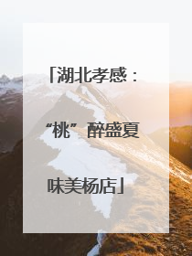 湖北孝感：“桃”醉盛夏 味美杨店
