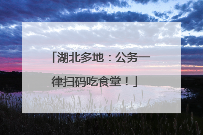 湖北多地：公务一律扫码吃食堂！