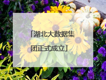 湖北大数据集团正式成立