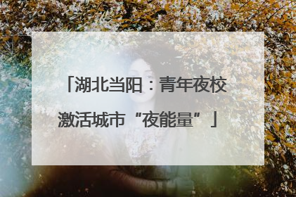 湖北当阳：青年夜校激活城市“夜能量”