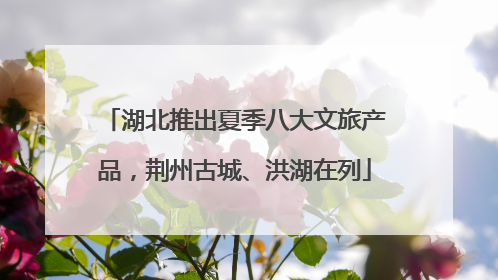 湖北推出夏季八大文旅产品，荆州古城、洪湖在列