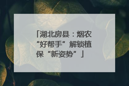 湖北房县：烟农“好帮手”解锁植保“新姿势”