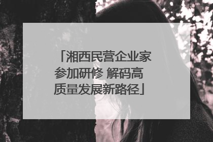 湘西民营企业家参加研修 解码高质量发展新路径