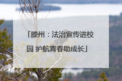 滕州：法治宣传进校园 护航青春助成长