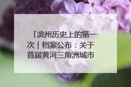 滨州历史上的第一次｜档案公布：关于首届黄河三角洲城市经济博览会暨发展论坛情况的总结报告