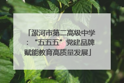 漯河市第二高级中学：“五五五”党建品牌赋能教育高质量发展
