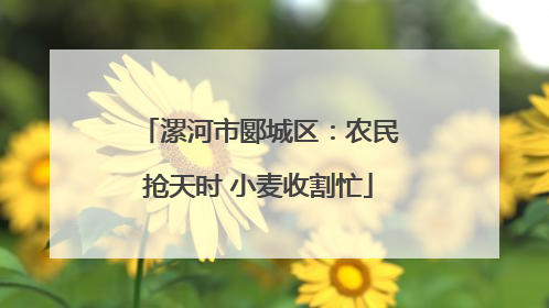 漯河市郾城区：农民抢天时 小麦收割忙