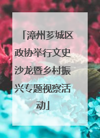 漳州芗城区政协举行文史沙龙暨乡村振兴专题视察活动