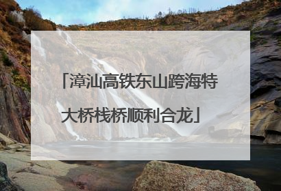 漳汕高铁东山跨海特大桥栈桥顺利合龙