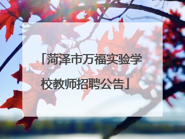 菏泽市万福实验学校教师招聘公告