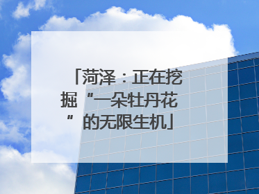 菏泽：正在挖掘“一朵牡丹花”的无限生机