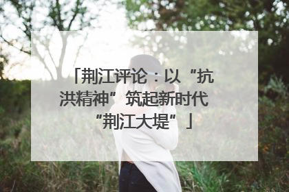 荆江评论：以“抗洪精神”筑起新时代“荆江大堤”