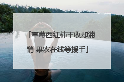 草莓西红柿丰收却滞销 果农在线等援手