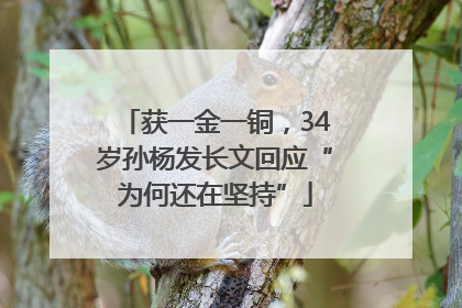 获一金一铜，34岁孙杨发长文回应“为何还在坚持”