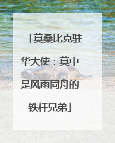 莫桑比克驻华大使：莫中是风雨同舟的铁杆兄弟