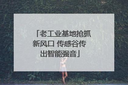 老工业基地抢抓新风口 传感谷传出智能强音