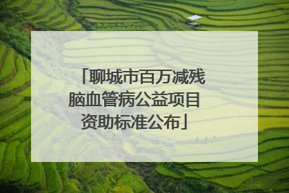 聊城市百万减残脑血管病公益项目资助标准公布