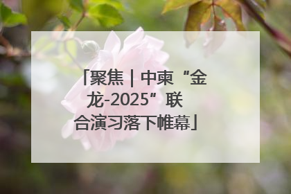 聚焦｜中柬“金龙-2025”联合演习落下帷幕