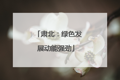 肃北：绿色发展动能强劲