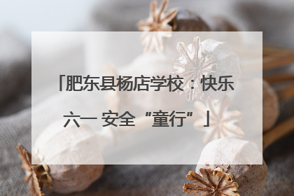 肥东县杨店学校：快乐六一 安全“童行”