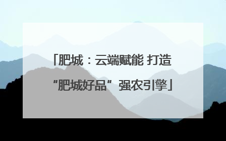 肥城：云端赋能 打造“肥城好品”强农引擎