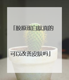 胶原蛋白肽真的可以改善皮肤吗