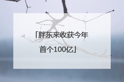 胖东来收获今年首个100亿