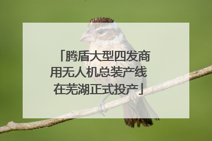 腾盾大型四发商用无人机总装产线在芜湖正式投产