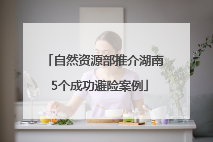 自然资源部推介湖南5个成功避险案例