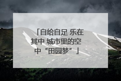 自给自足 乐在其中 城市里的空中“田园梦”