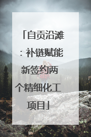 自贡沿滩：补链赋能 新签约两个精细化工项目