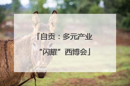 自贡：多元产业“闪耀”西博会