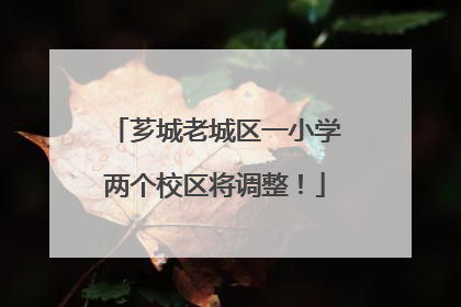 芗城老城区一小学两个校区将调整！