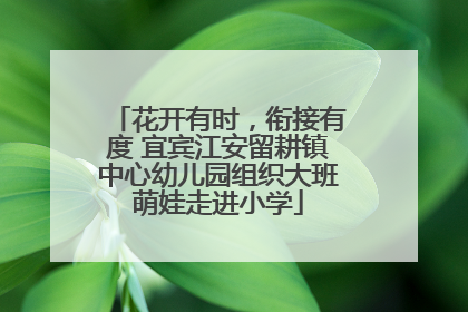 花开有时，衔接有度 宜宾江安留耕镇中心幼儿园组织大班萌娃走进小学